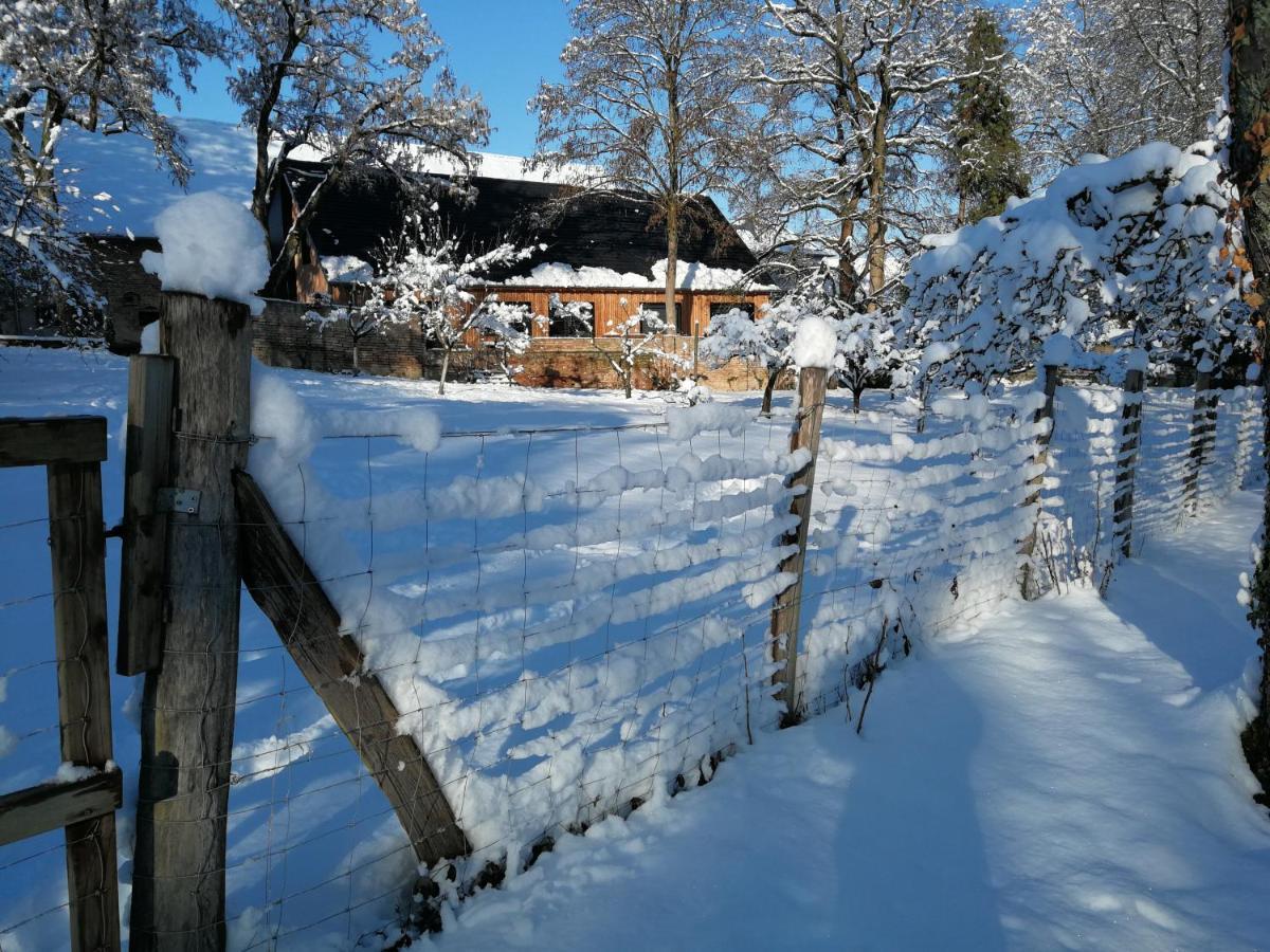 Gite Spacieux Et Cosy A La Campagne Proche De Strasbourg Achenheim Eksteriør billede