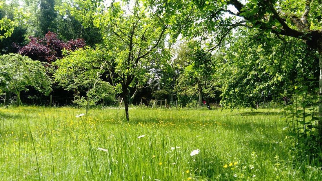 Gite Spacieux Et Cosy A La Campagne Proche De Strasbourg Achenheim Eksteriør billede